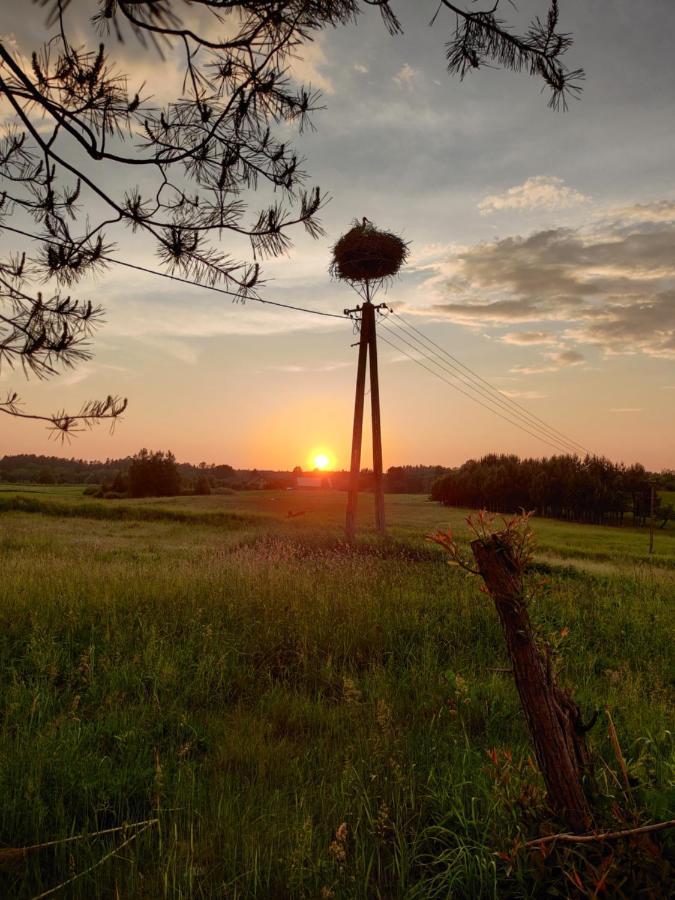 Pod Bocianim Gniazdem Villa Stary Folwark Buitenkant foto