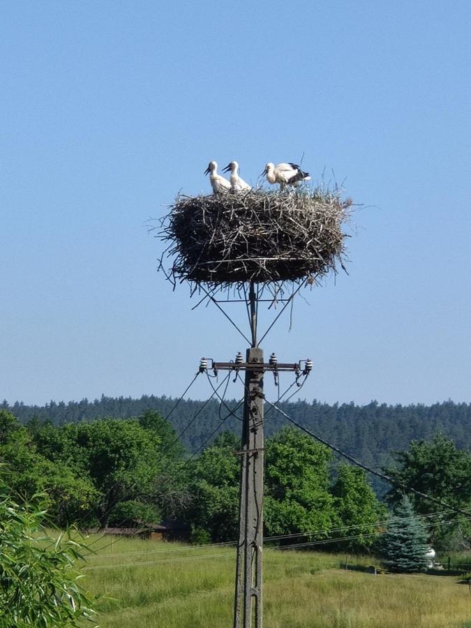Pod Bocianim Gniazdem Villa Stary Folwark Buitenkant foto